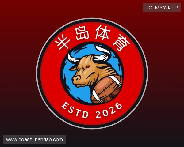 发现半岛体育